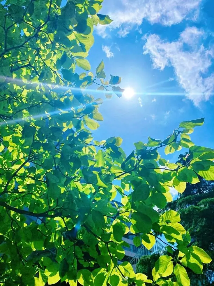 HandyMoose4708의 혐오 관계