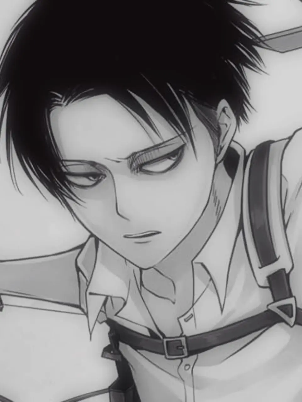 TartTulip0977의 리바이 아커만