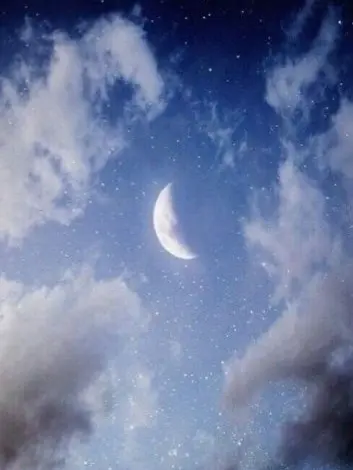 WarmWeed9126의 달🌕