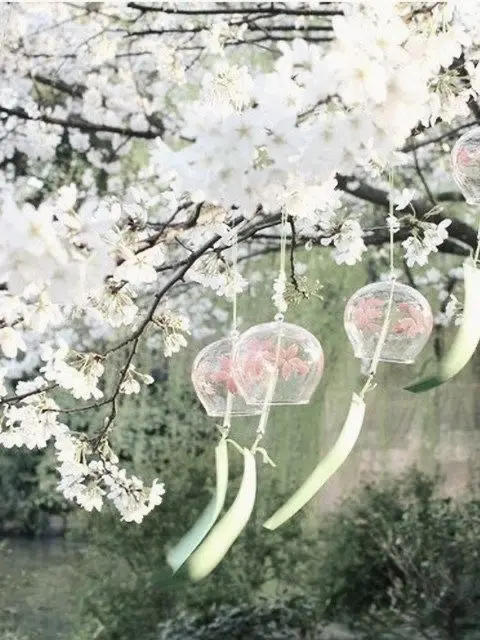 ZestyPast3914의 羅刹学園の文化祭