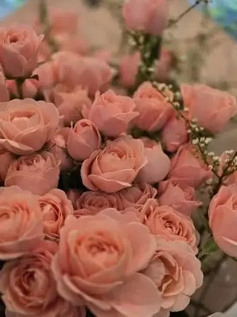 12345_abc의 세상에서 가장 아름다운 너에게.