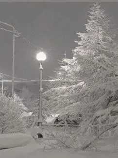 dreamer_0107의 0107