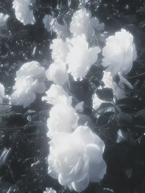 yoiyoiyoi0의 은인.