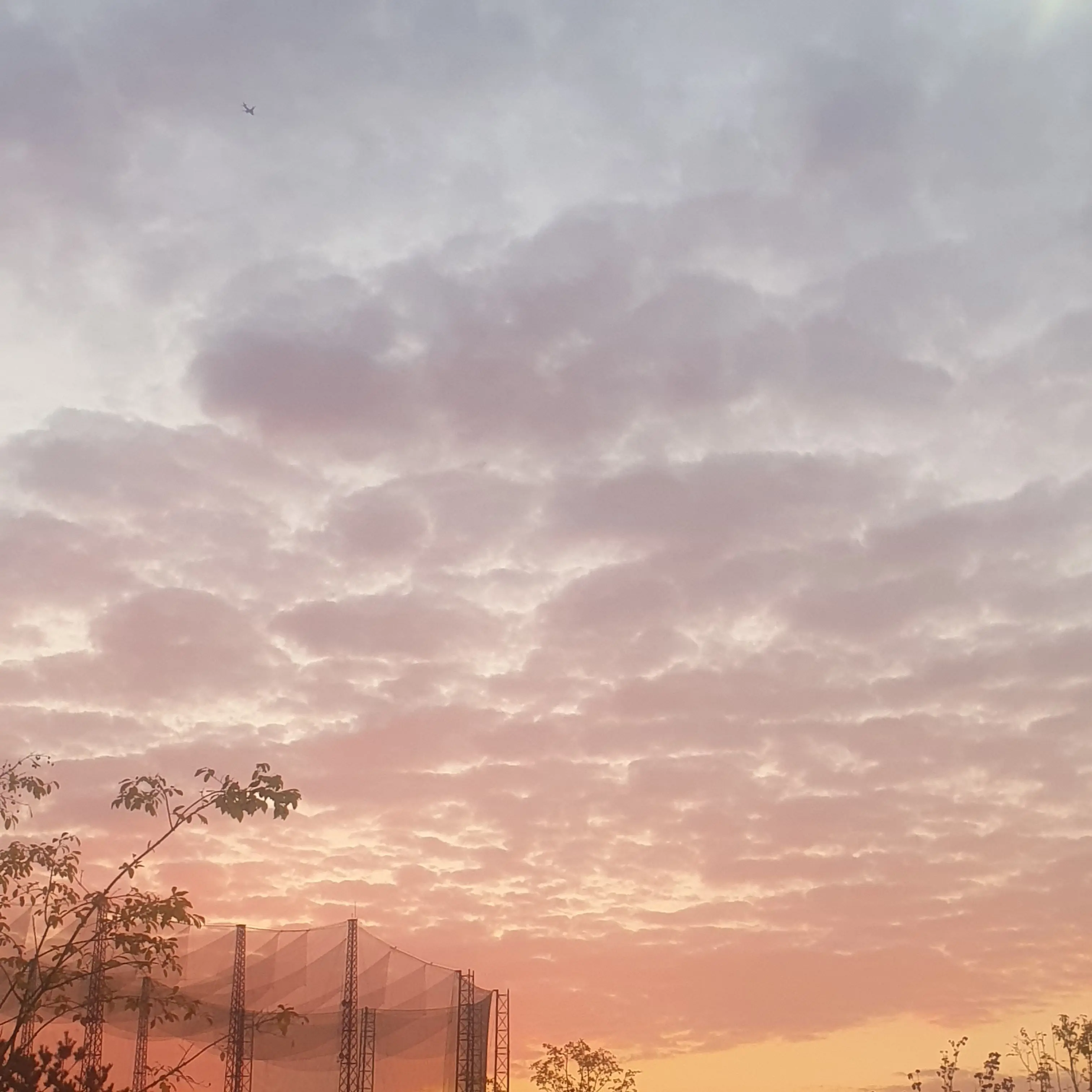 SKY150507의 당신은 감자링