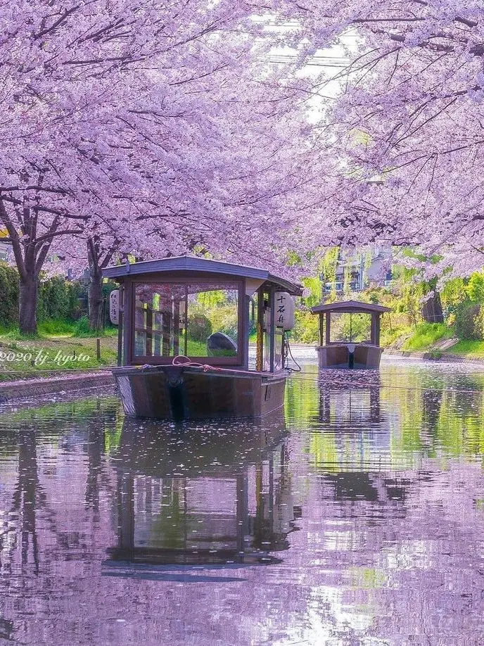 jinro0329의 [나사빠진 신령님들]