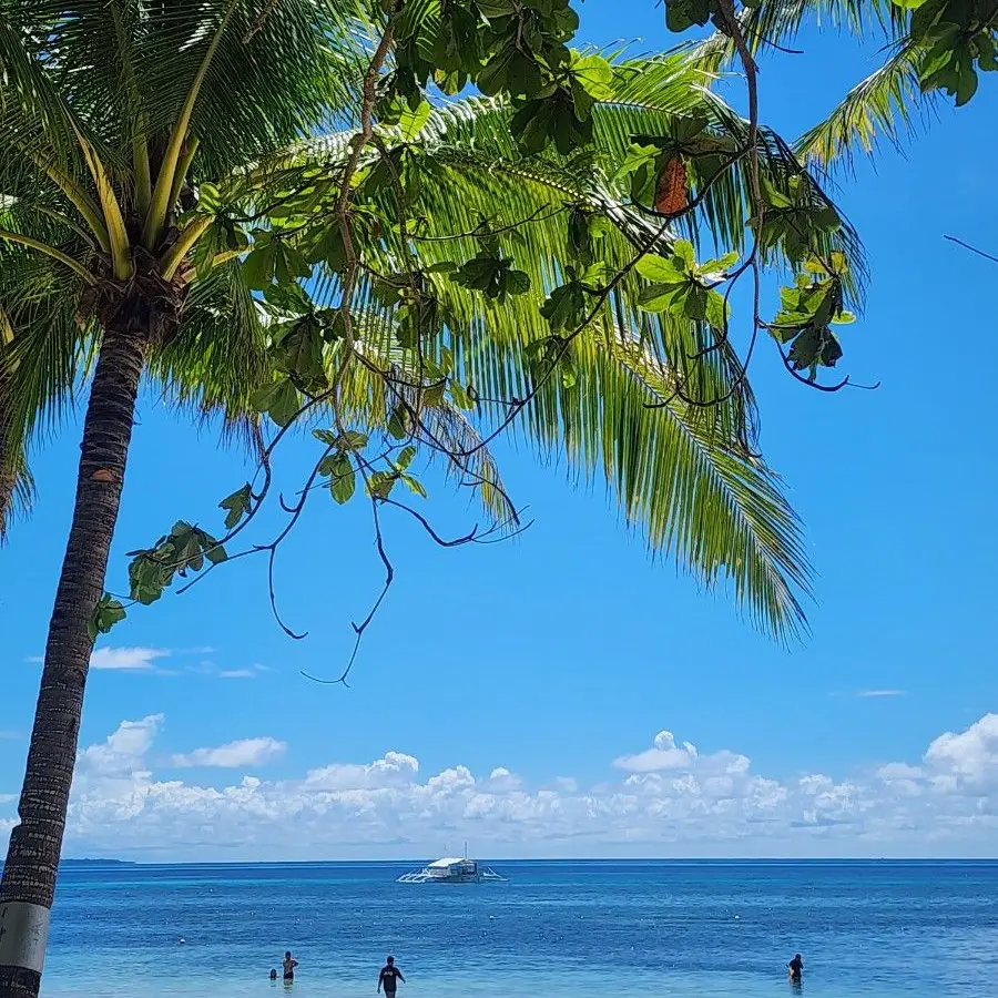 butterfly_girl의 5인 하와이 여행