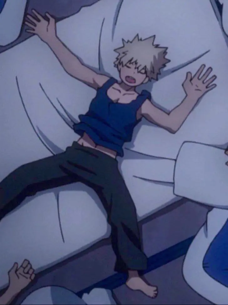 WideFlag7349의 3 AM with Bakugo