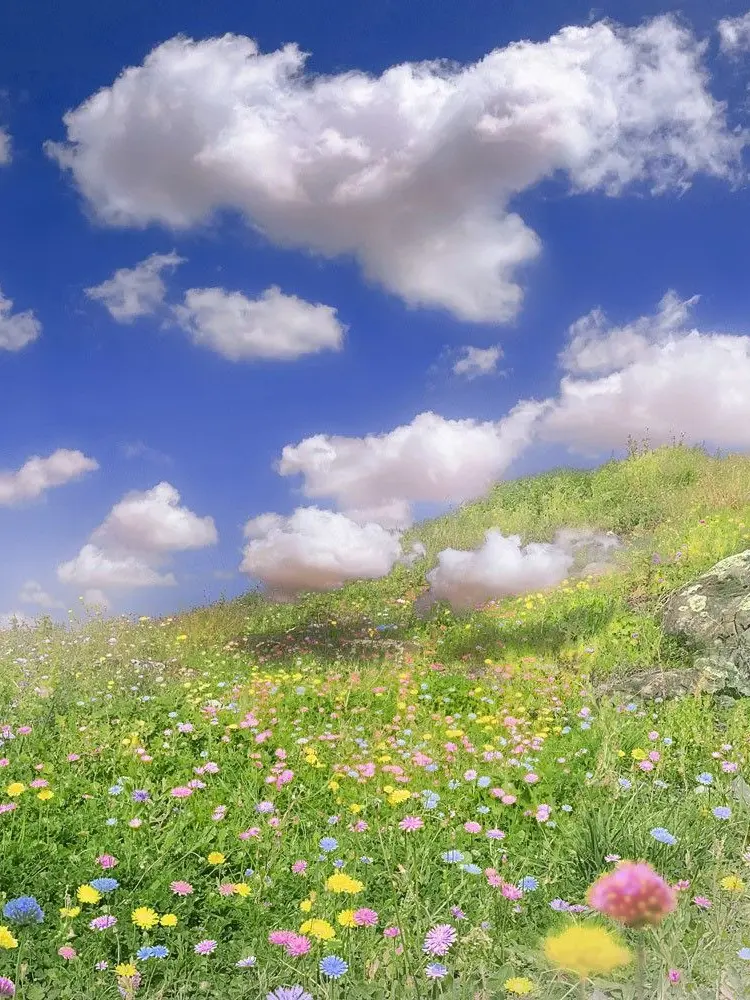 Dreamisfree의 <꿈>