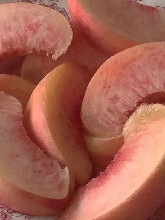 percolate의 지 유한