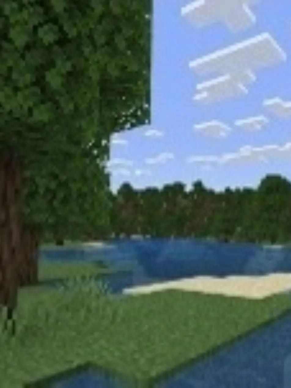 WiryArm8918의 Minecraft
