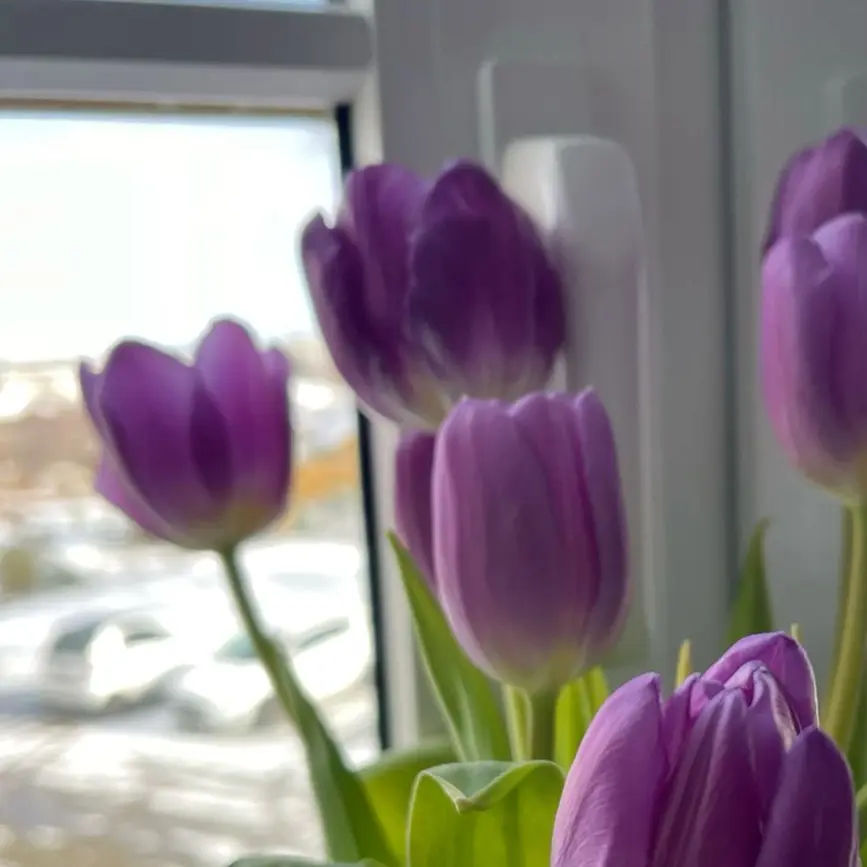 188912의 삼각관계