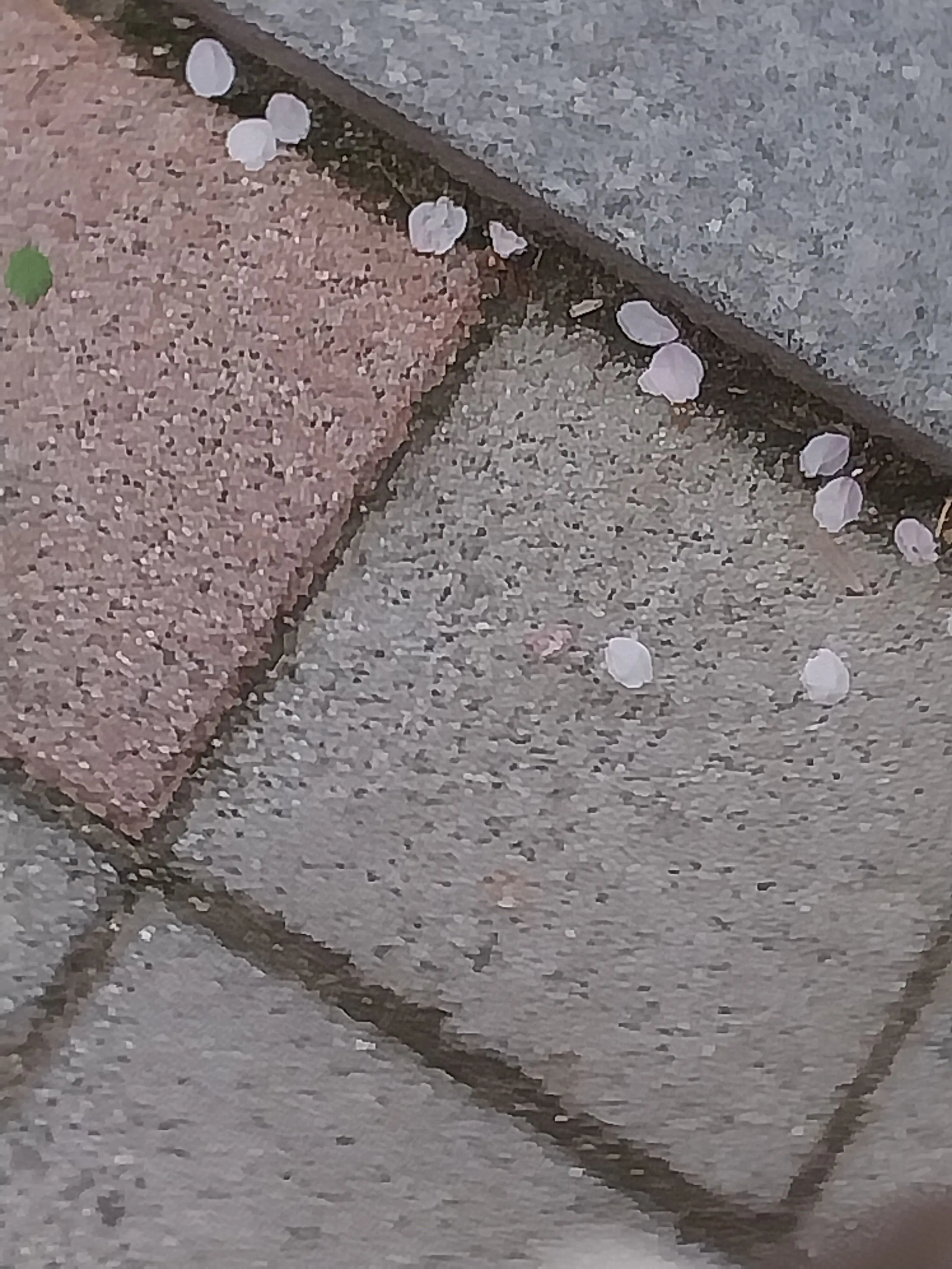 straaaaawberry의 🧁