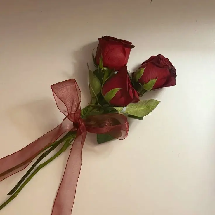 Alllllllalalll의 비서와 바람피는 남편