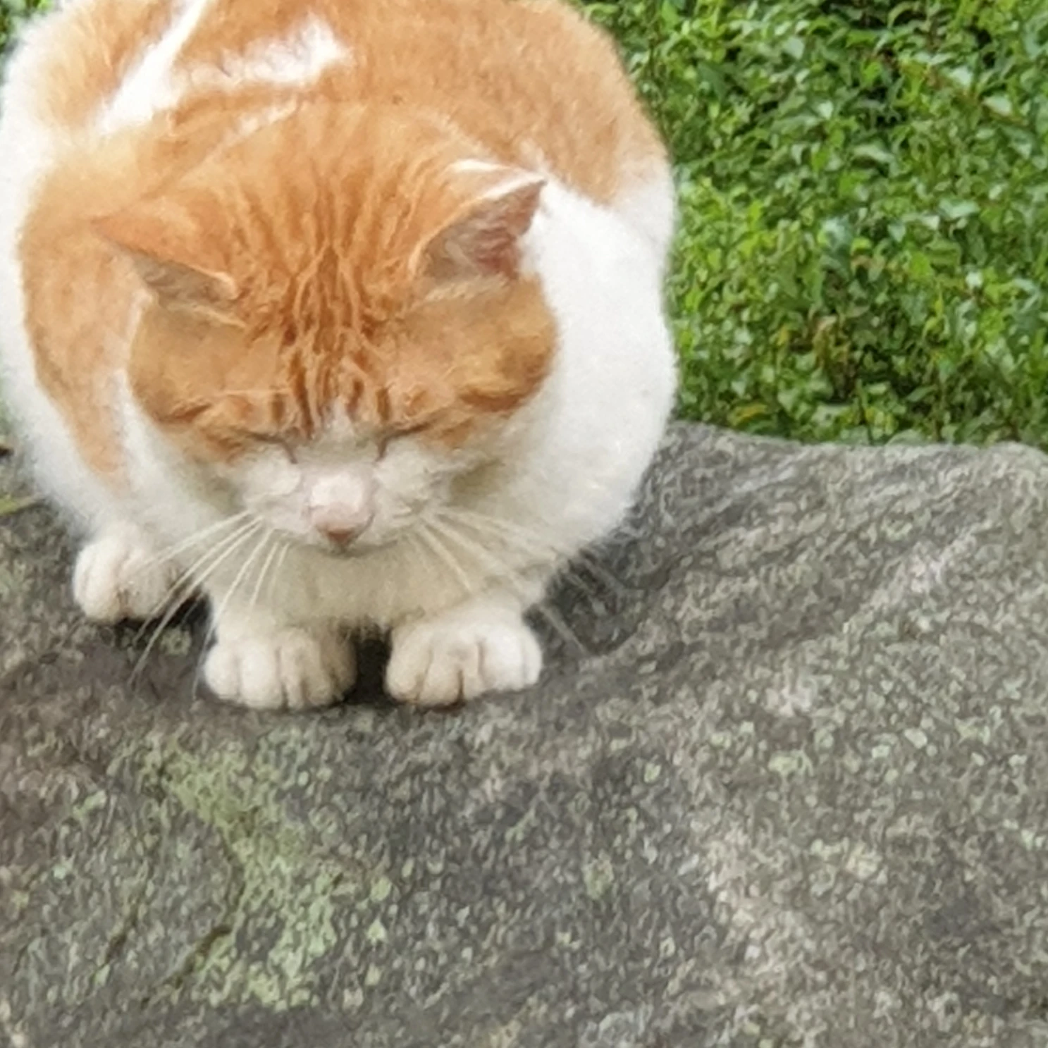 이동혁