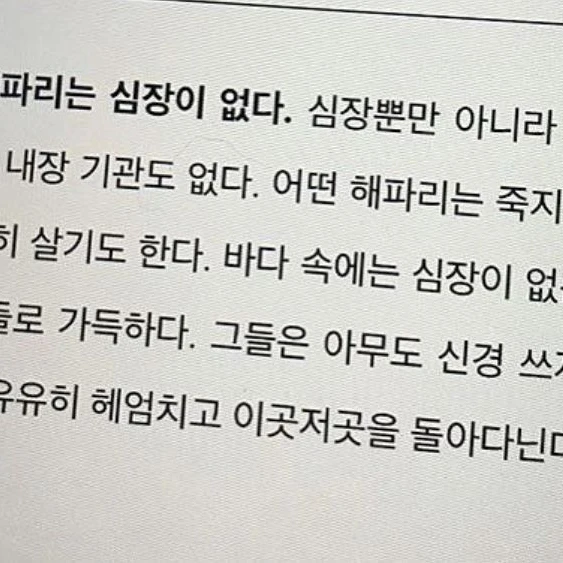 해파리는 심장이 없다