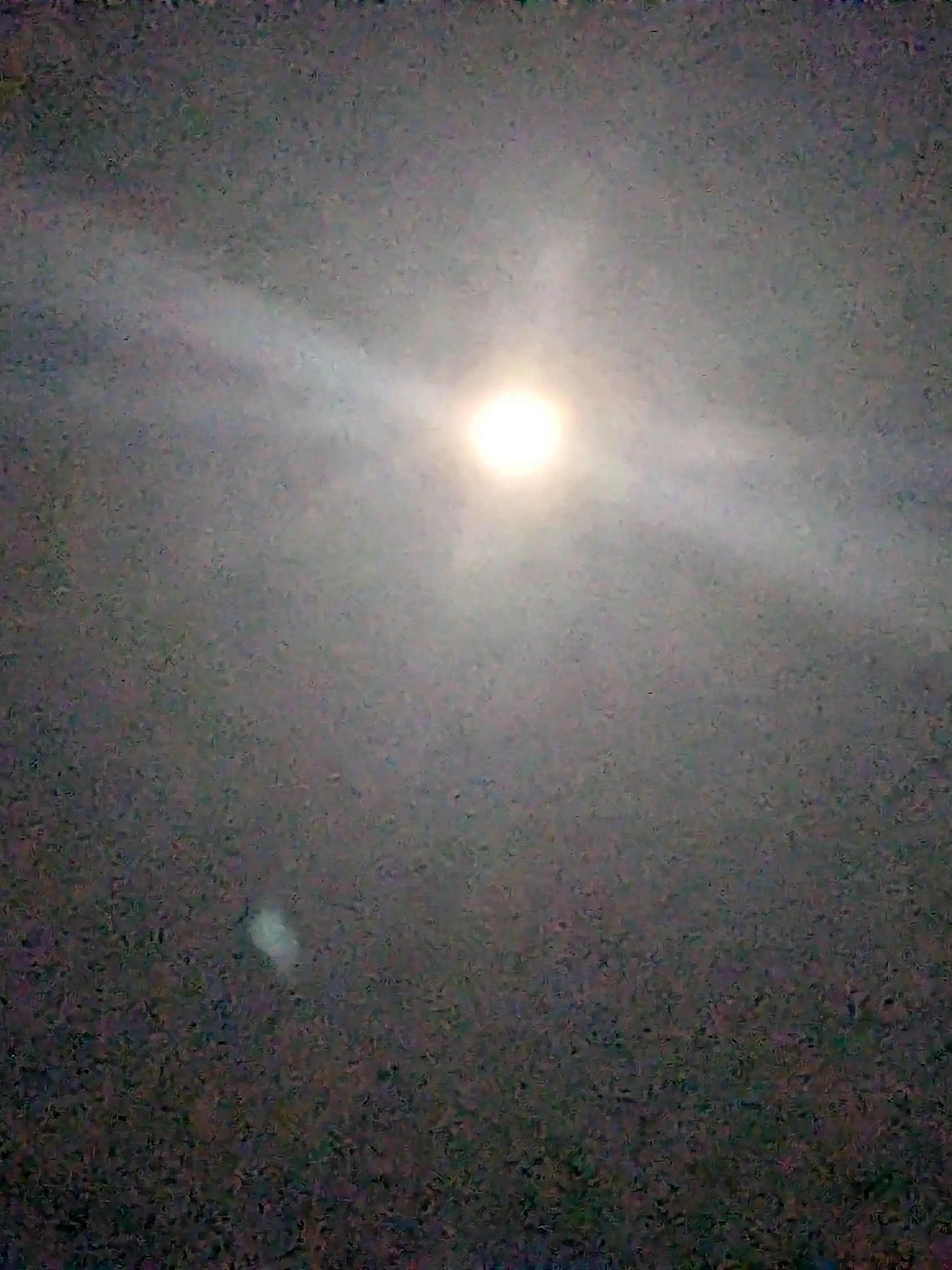 NuttyCup8050의 レッツ逃走☆（???）