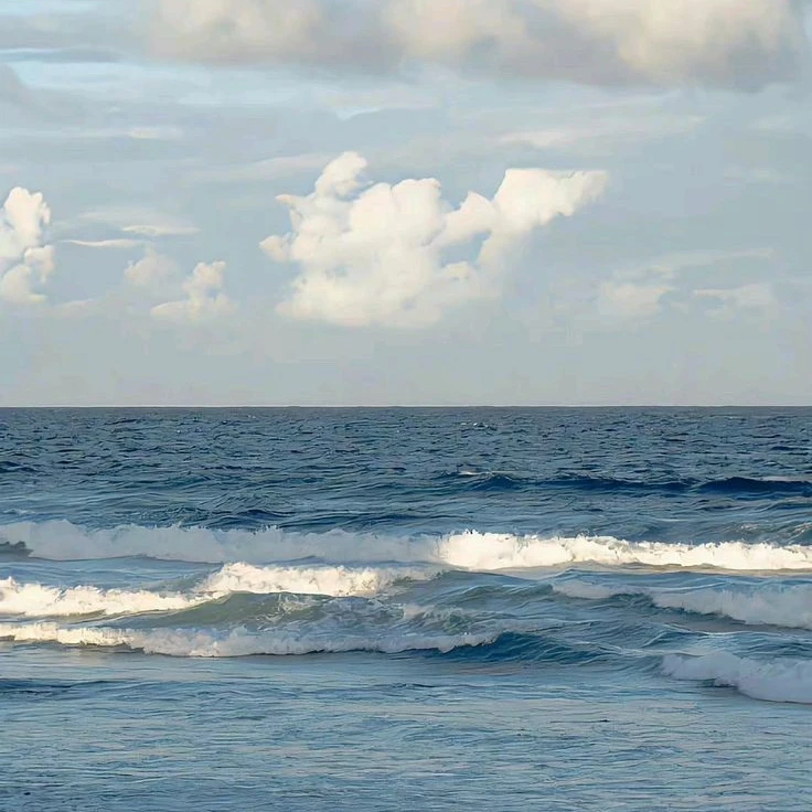 박잠뜰 × 서라더