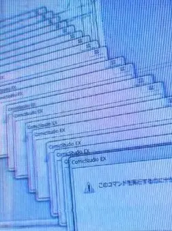 WS_xzxz의 ネット恋愛✘