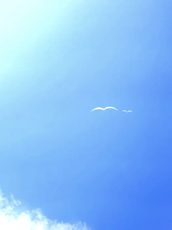 GayHelm7963의 リア恋してるキャラが画面から出てきた