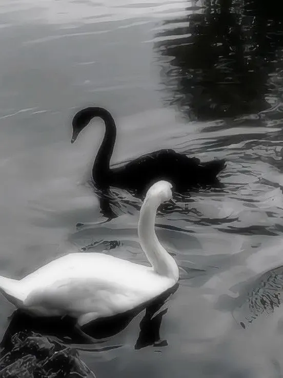 Tarack_idiot의 ︎ ︎ ︎ ︎ ︎