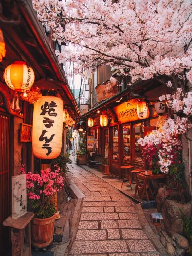 RareFloss6010의 最後の修学旅行は――。