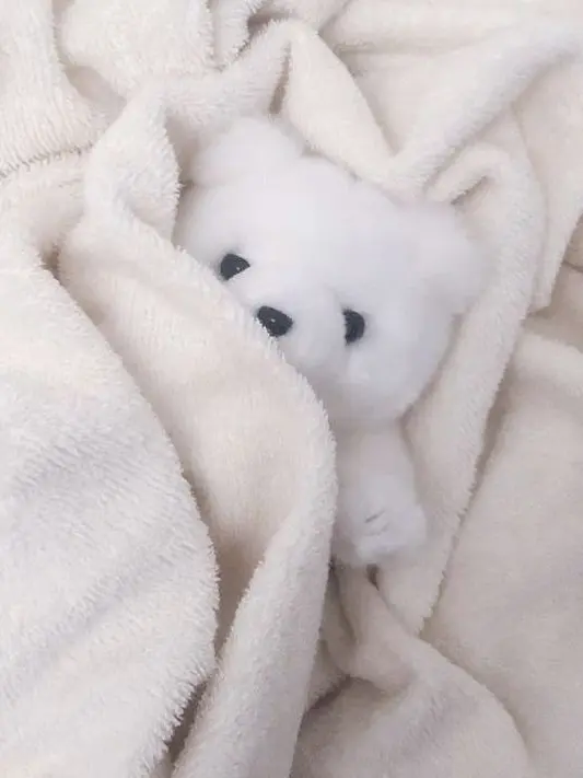seolaseola의 🍼 | ❤️🧡💛💚💙💜