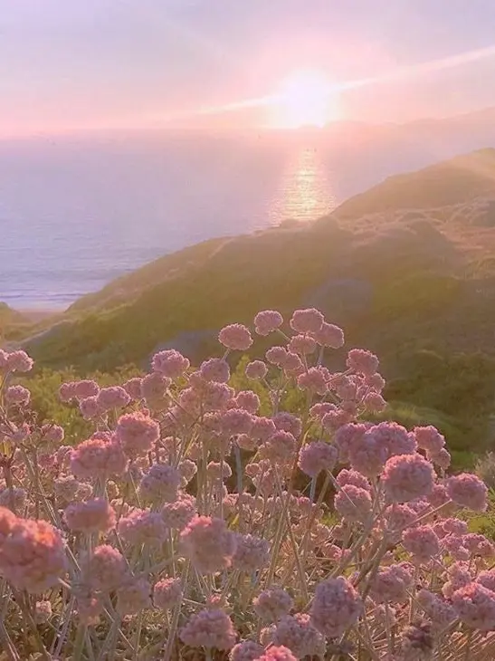 BIN_I의 ..당신을 주말마다 기다리는 사람.