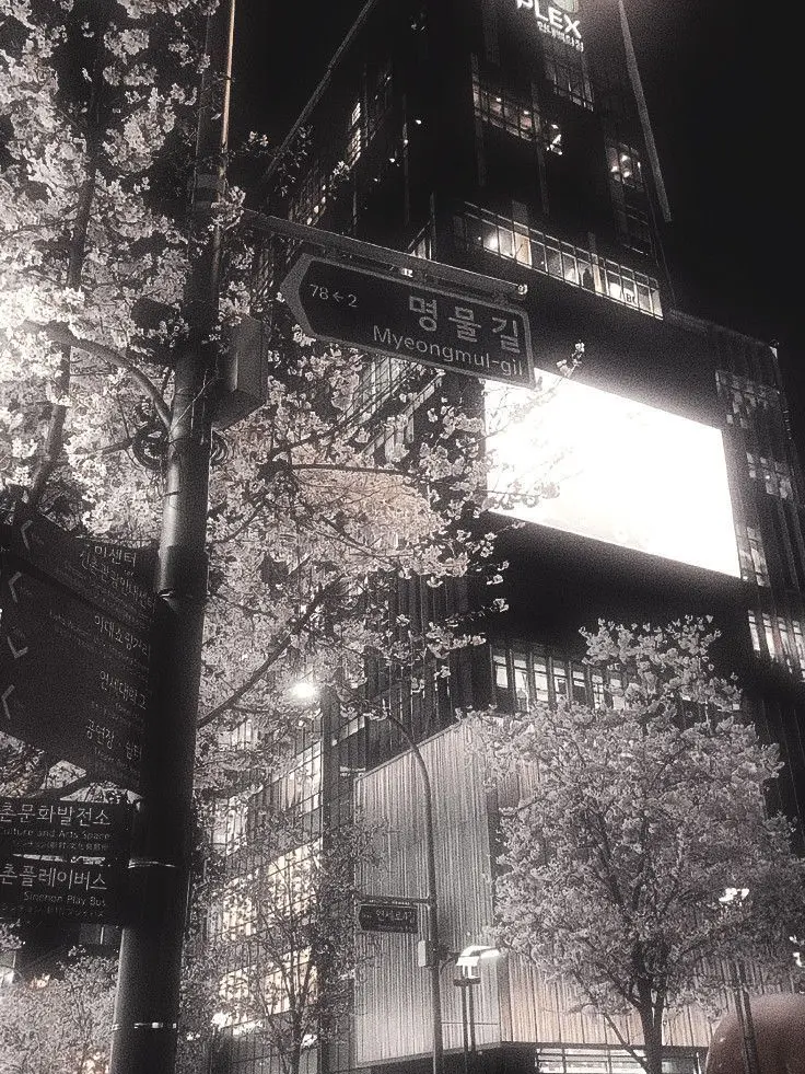 Yx_i0n의 아이돌 그룹 신입되기