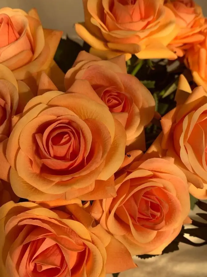 dpxnp의 잠에서 깨어나 보니 어려졌다?!