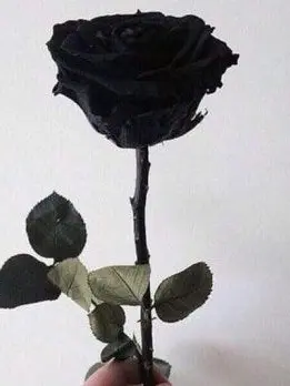 LOVE_-_-의 Do You Believe in Yourself?