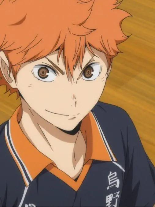 hi_0108의 日向翔陽