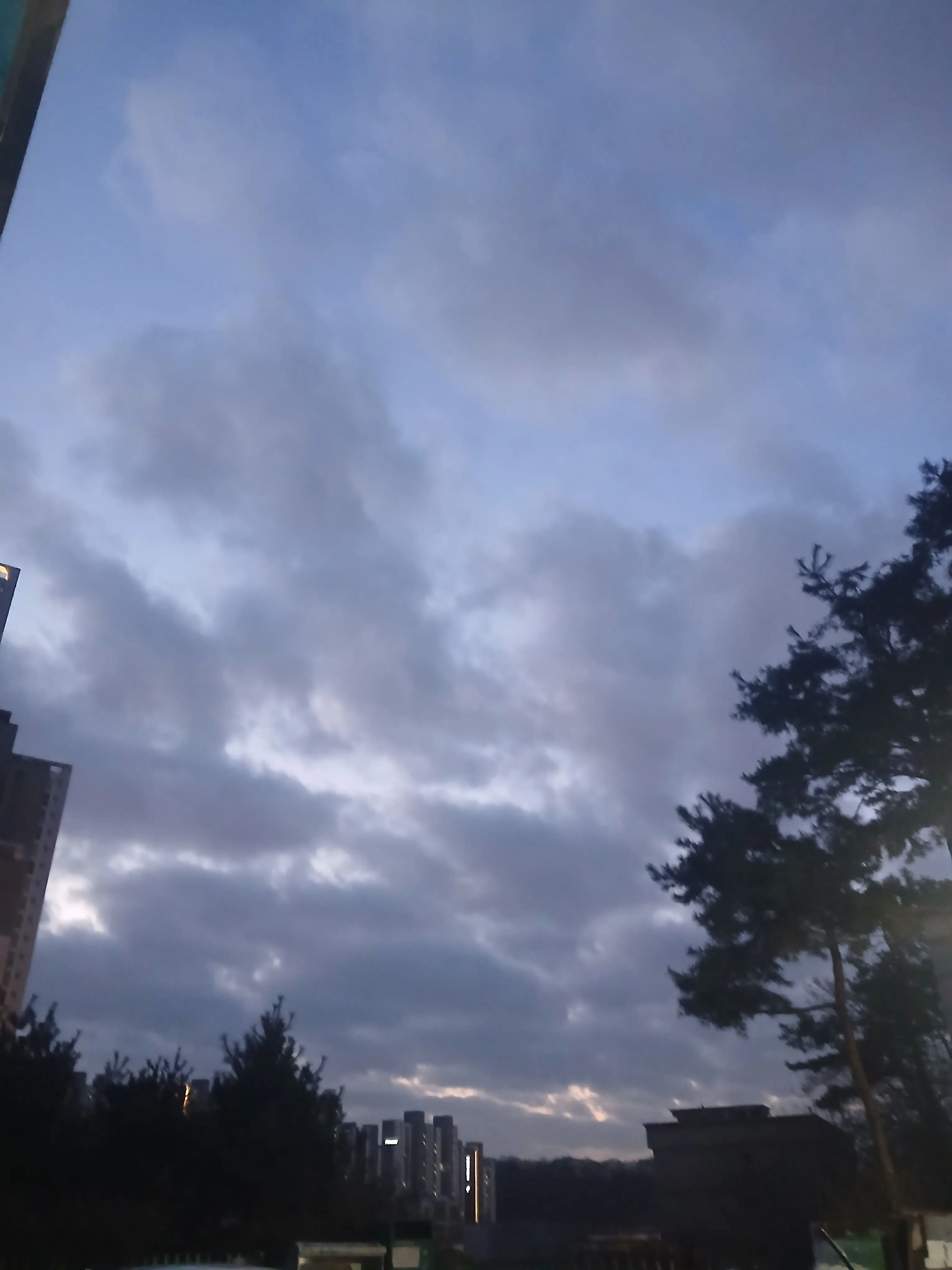 Kim_resin의 또라이들과 동거하기 +(여우)