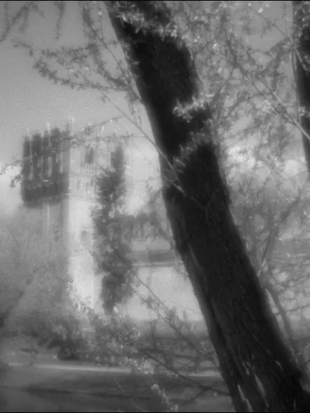 whiteflower_의 패러다이스 동아리