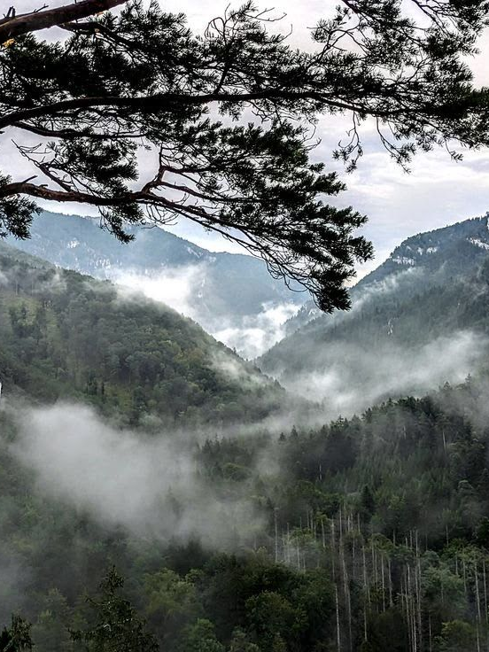 산중호걸 대표 이미지