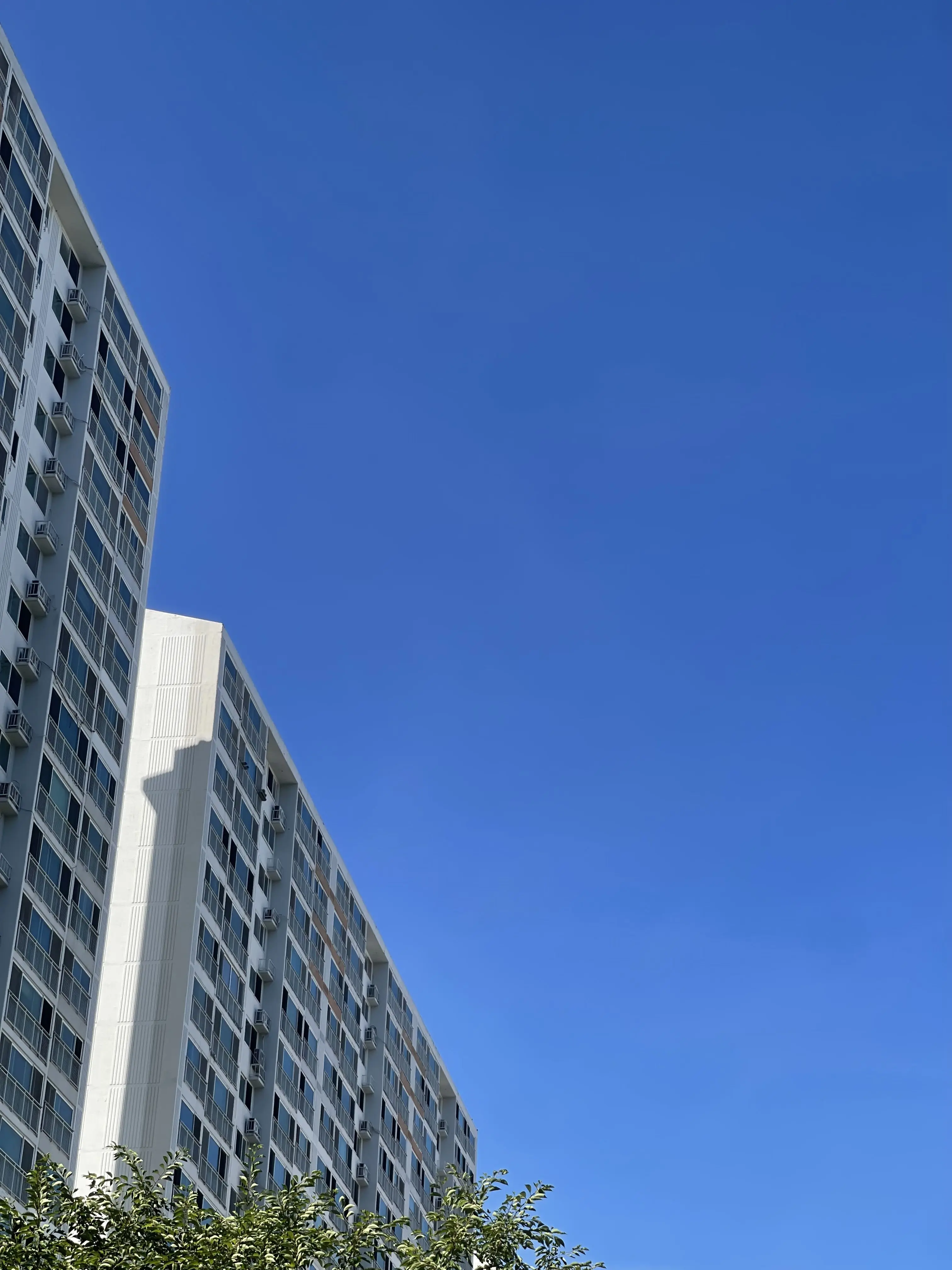 RoundThumb1362의 고등학생 시절의 동이