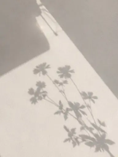 _Neverland의 자유