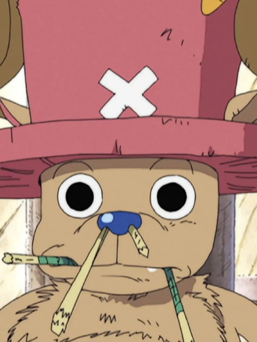 SadTuna7058의 토니토니 쵸파