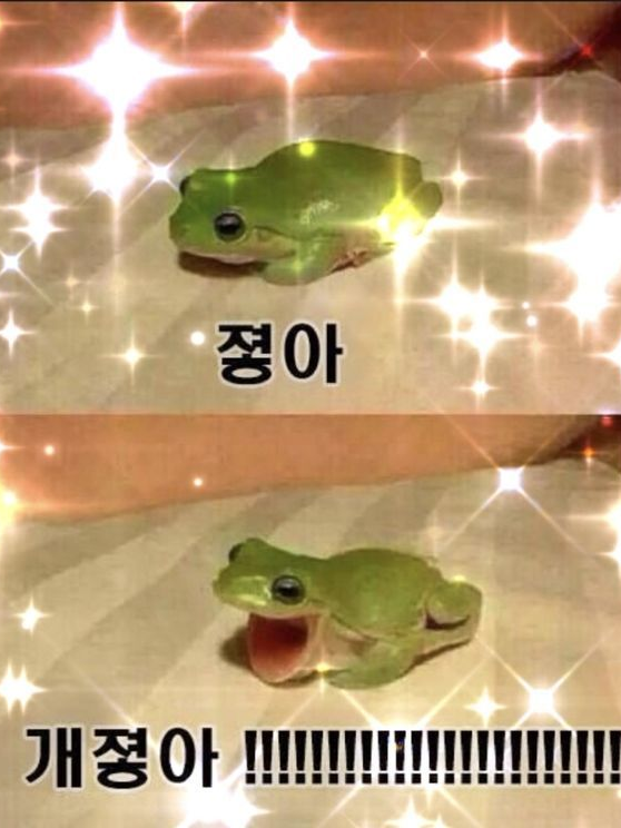 새벽에 만들 자유 이끼ㅣㅣ 대표 이미지