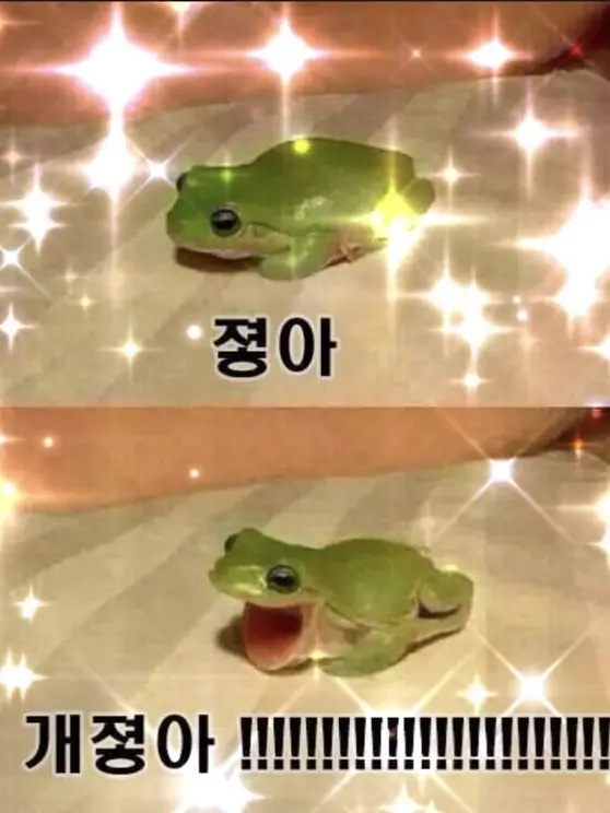 6658의 새벽에 만들 자유 이끼ㅣㅣ