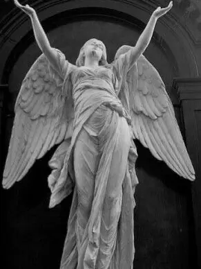 LankyTowel6911의 모든것은 나를 배신했다.