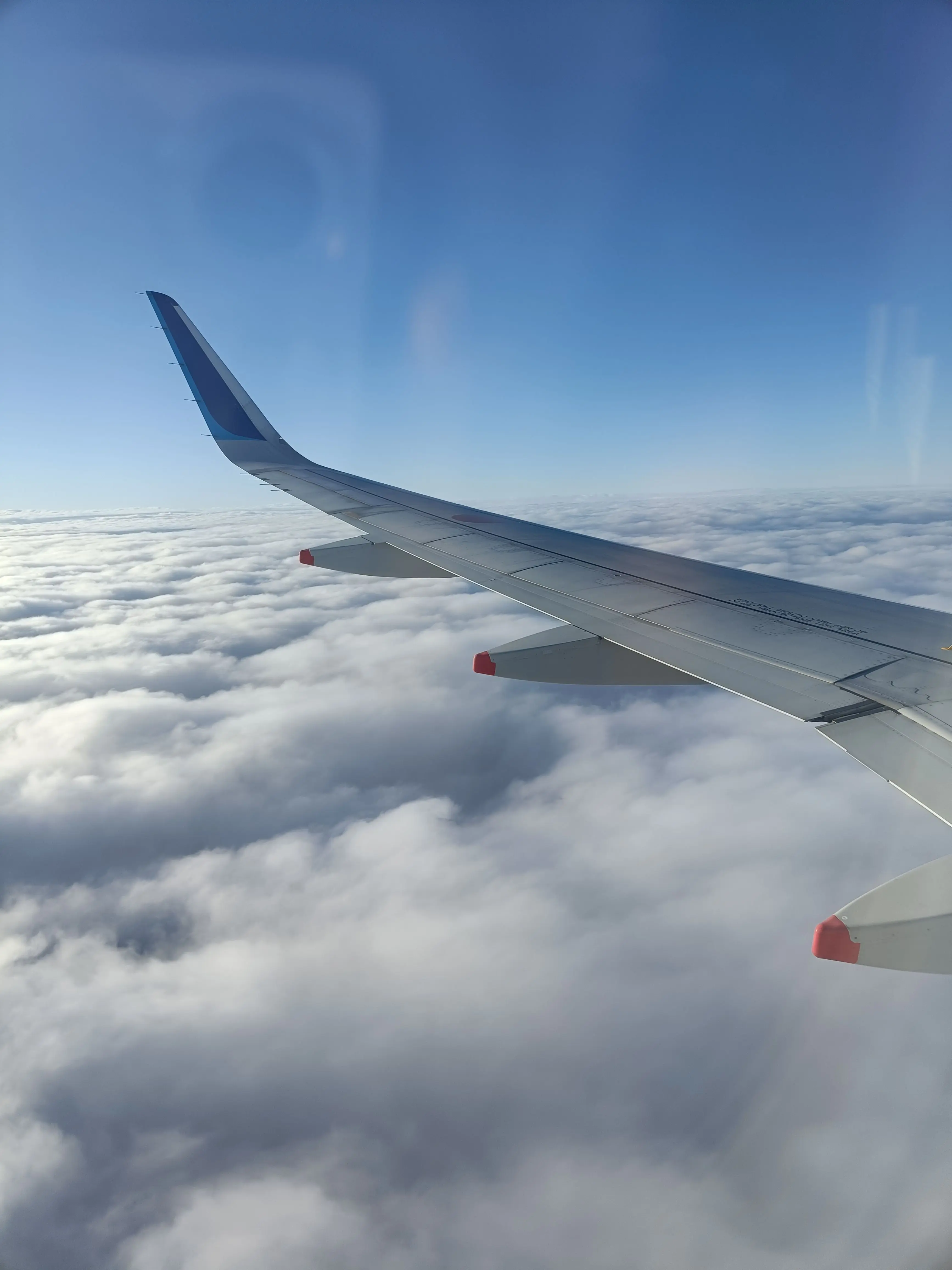 InlandStew4979의 私は顔が広いのだ