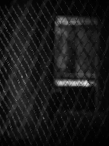 VoicedZebra8432의 사냥개들 시즌2