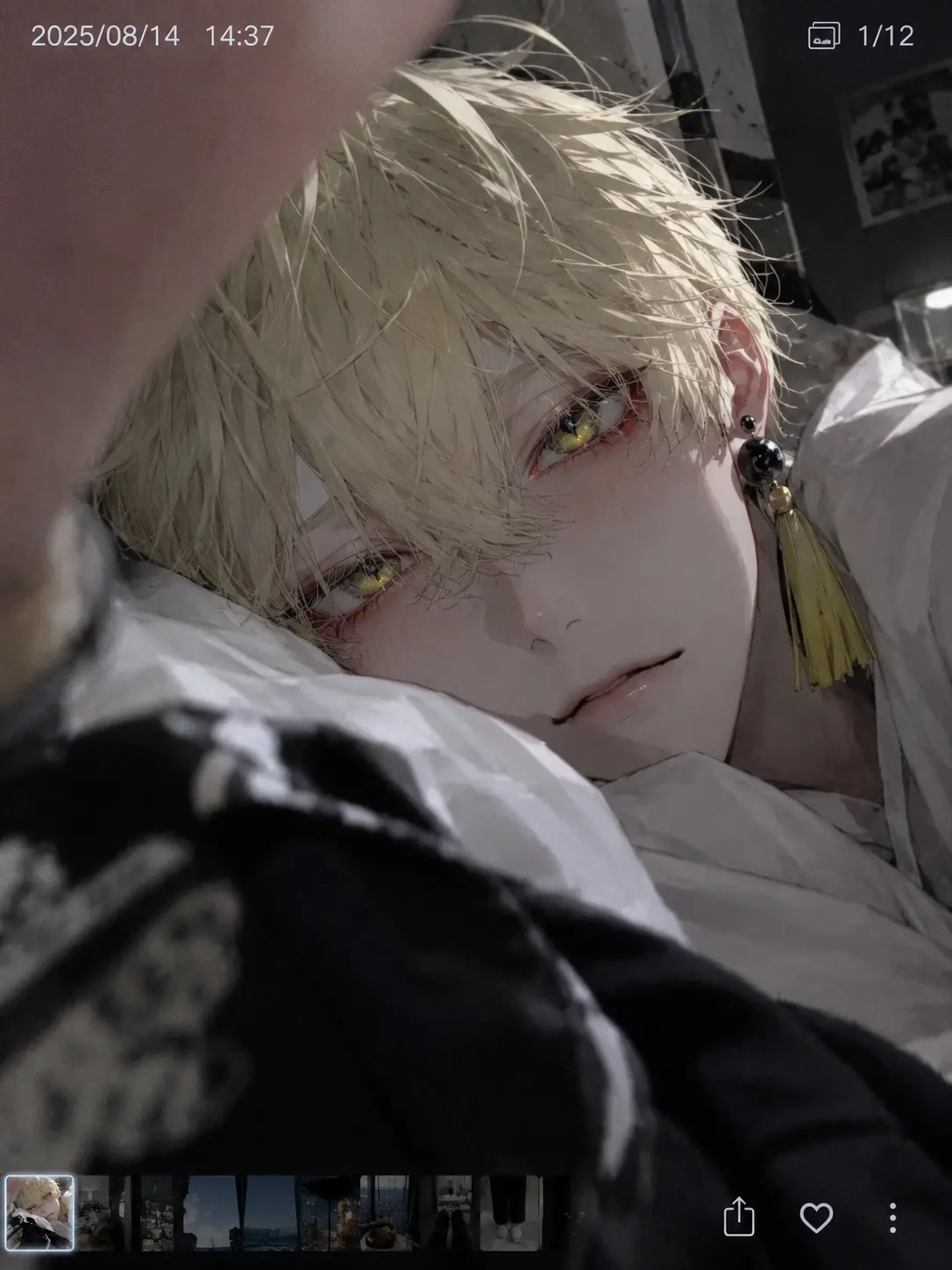 LEDA의 麒麟様の嫁