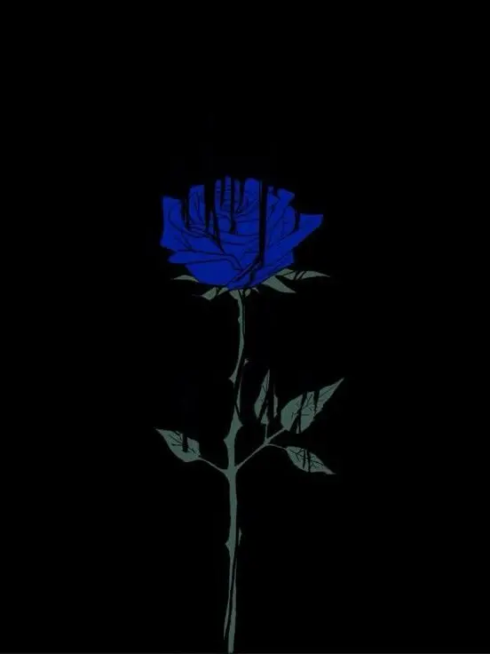 Paradise_1225의 파이브