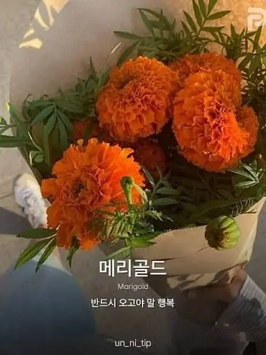INEEDBND의 6남매