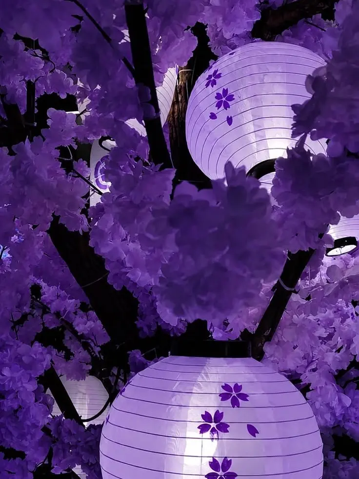 shiki._.0321의 本当の君は。__