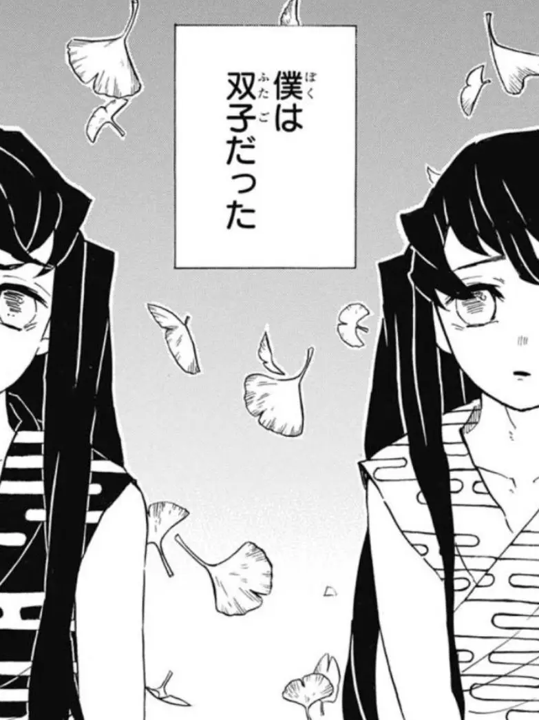 kimetsudaisuki의 双子柱