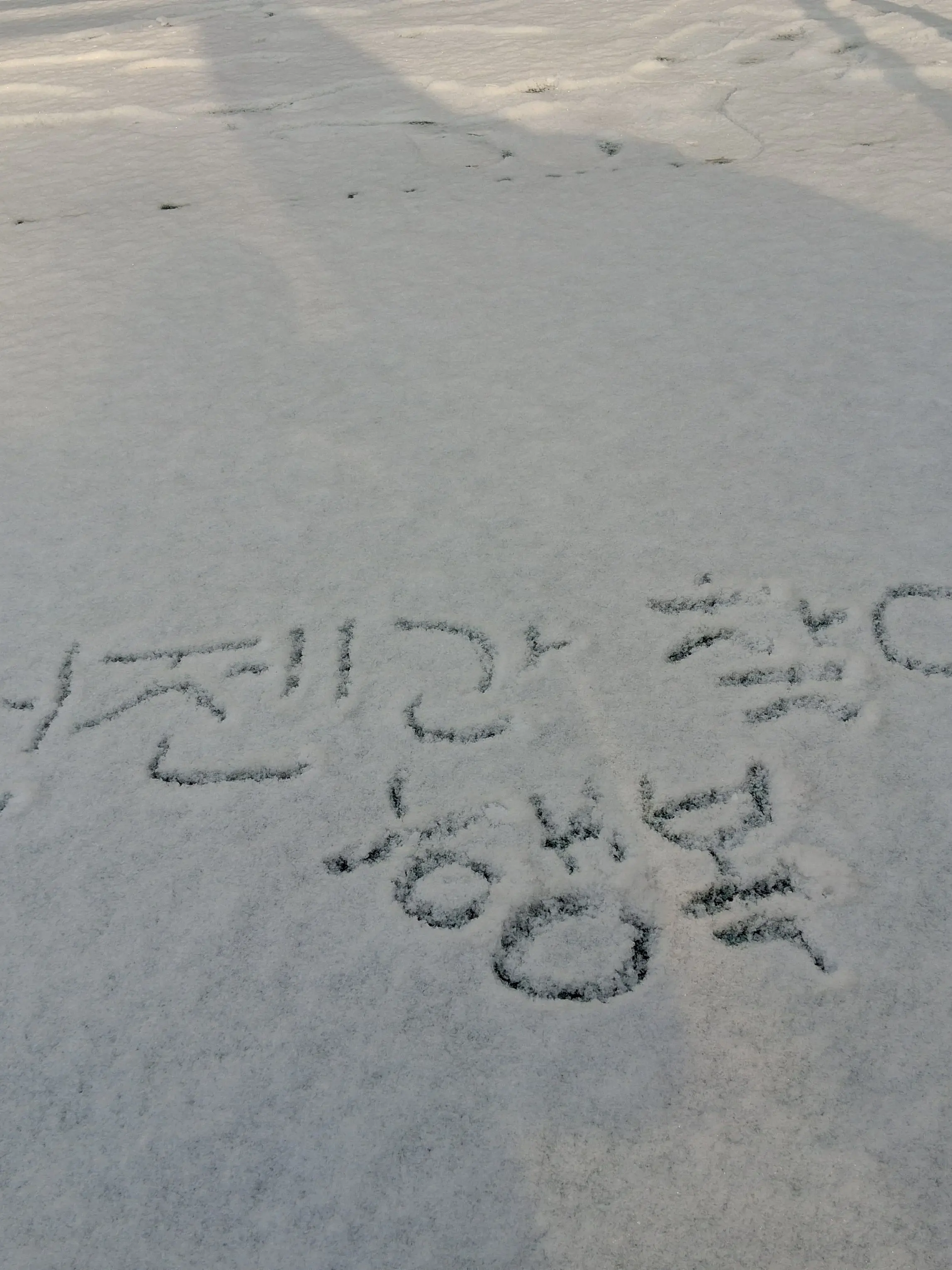 FleshyGoat1458의 뜰팁 썰매장 직원!?!?❄️☃️🛷