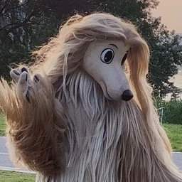 김땅콩을 입양하세요!!