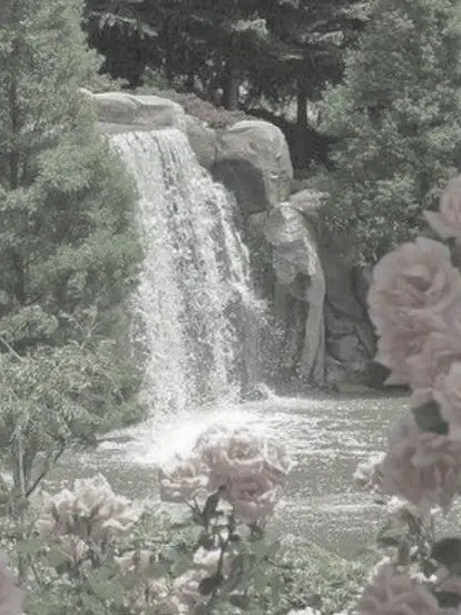 Para-dise의 더 없이 행복한 곳으로